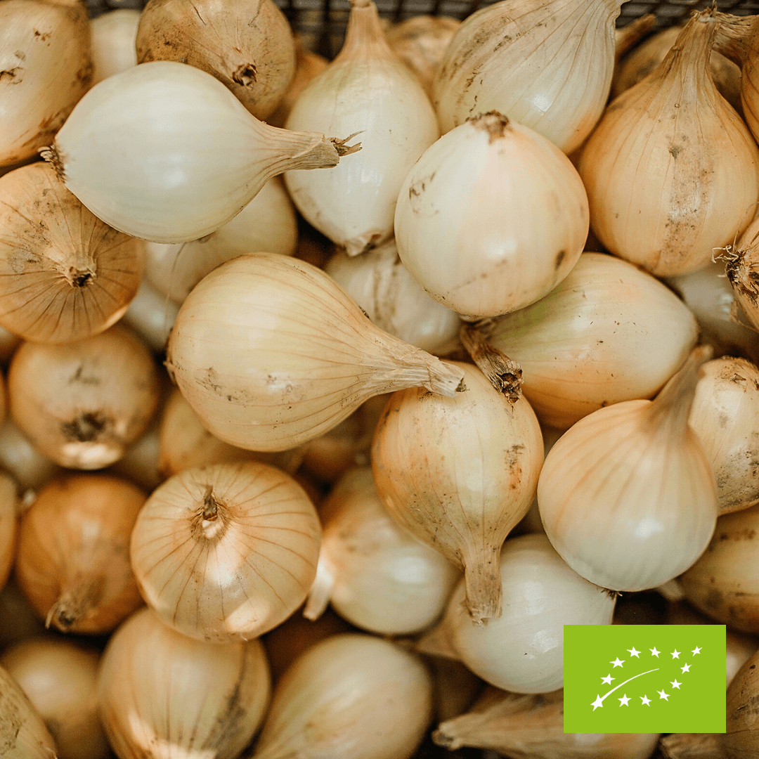 Cebula cukrowa EKO 1 kg