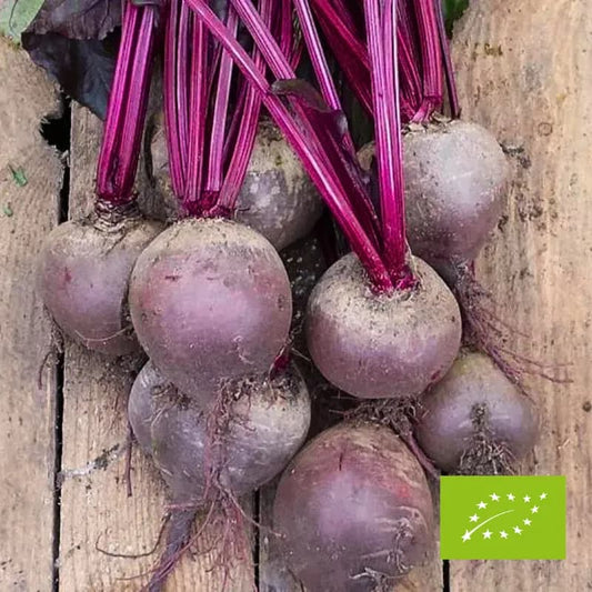 Buraki EKO 1 kg